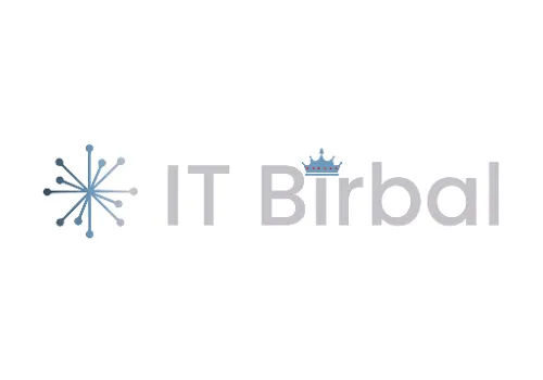 IT Birbal Logo | Digital IT Hub