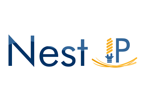Nest IP Logo | Digital IT Hub
